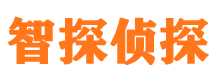 三门峡外遇调查取证